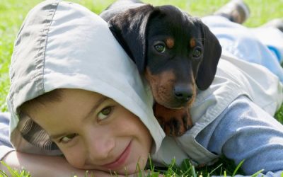 Are Dachshunds Good Family Dogs?