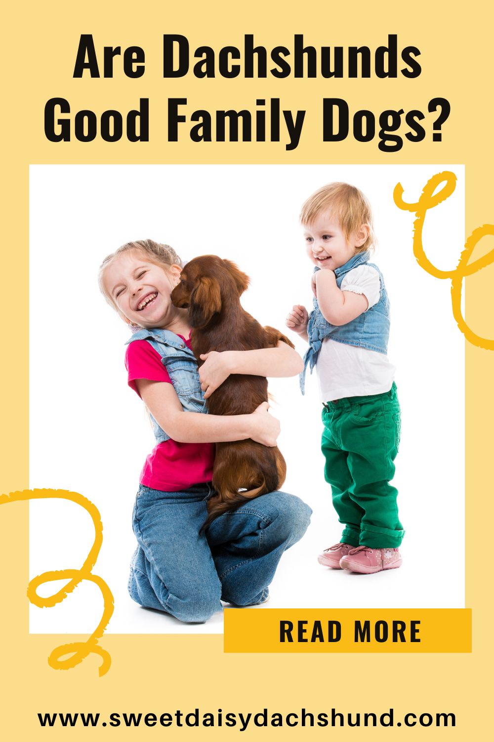 Are dachshunds good family dogs, learn about the dachshund breed (9)