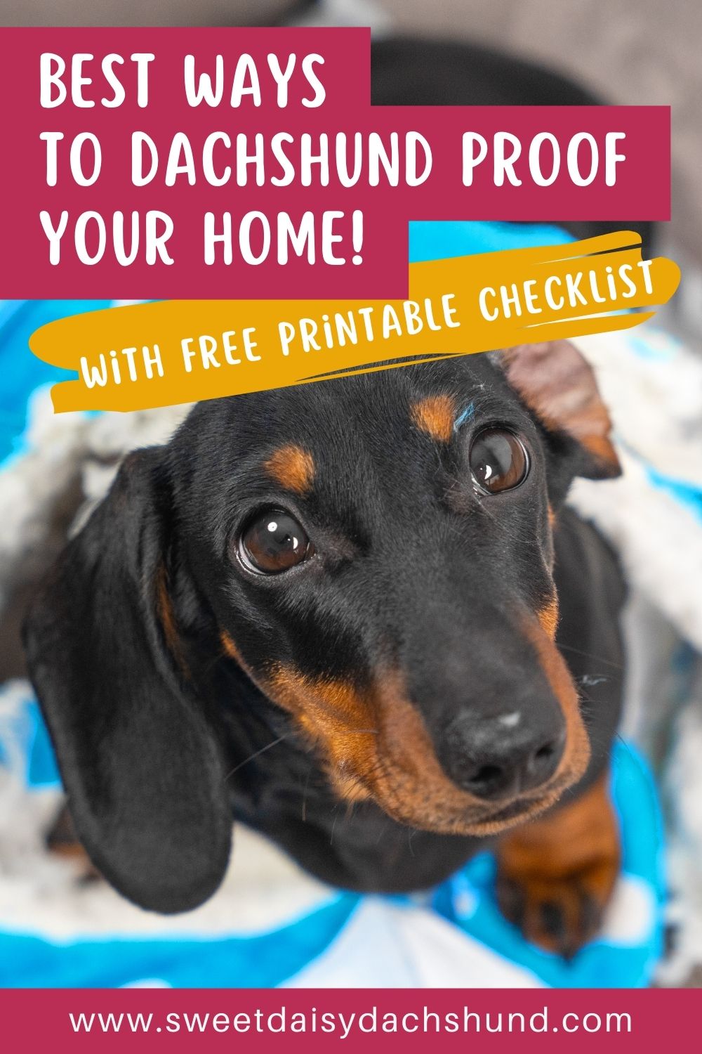 Best Ways to Dachshund Proof Your Home before your new puppy moves in (2)