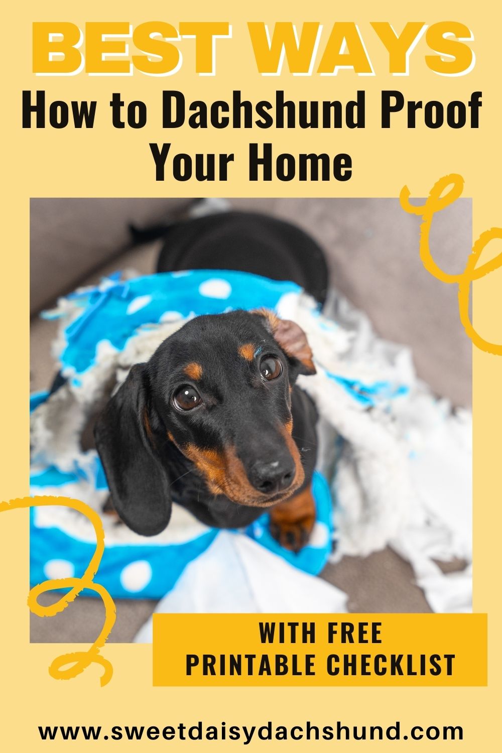 Best Ways to Dachshund Proof Your Home before your new puppy moves in (3)