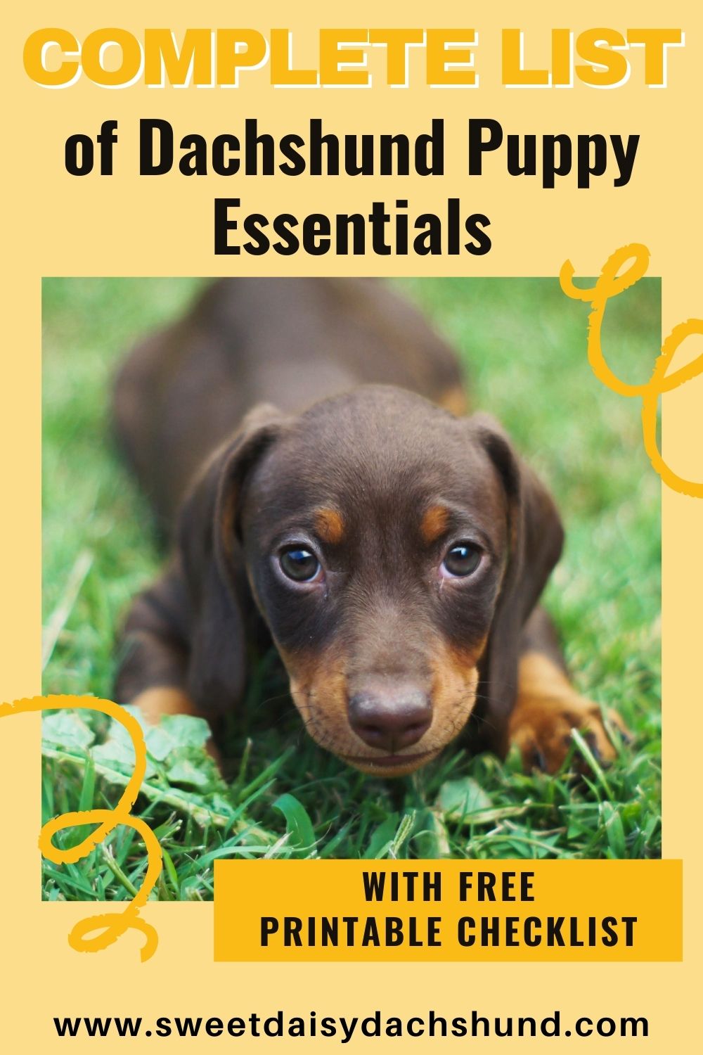 What Should I Buy Before My Dachshund Puppy Arrives (2), a complete list of dachshund puppy essentials