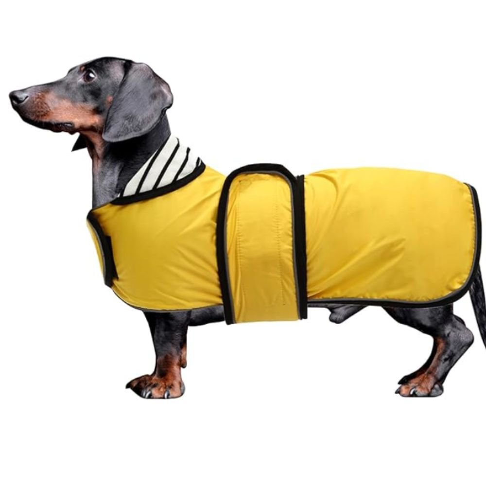 10 Best Dachshund Winter Coats, warm and waterproof coats for your doxie (10)