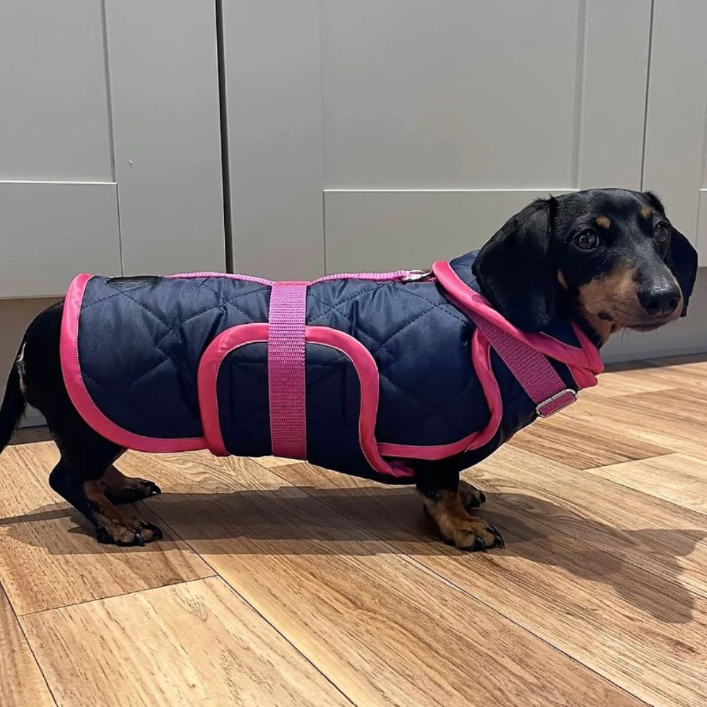 10 Best Dachshund Winter Coats, warm and waterproof coats for your doxie (3)