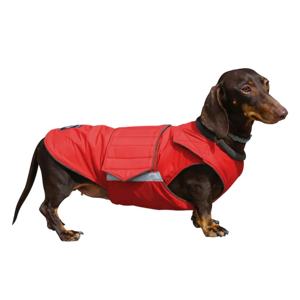 10 Best Dachshund Winter Coats, warm and waterproof coats for your doxie (4)