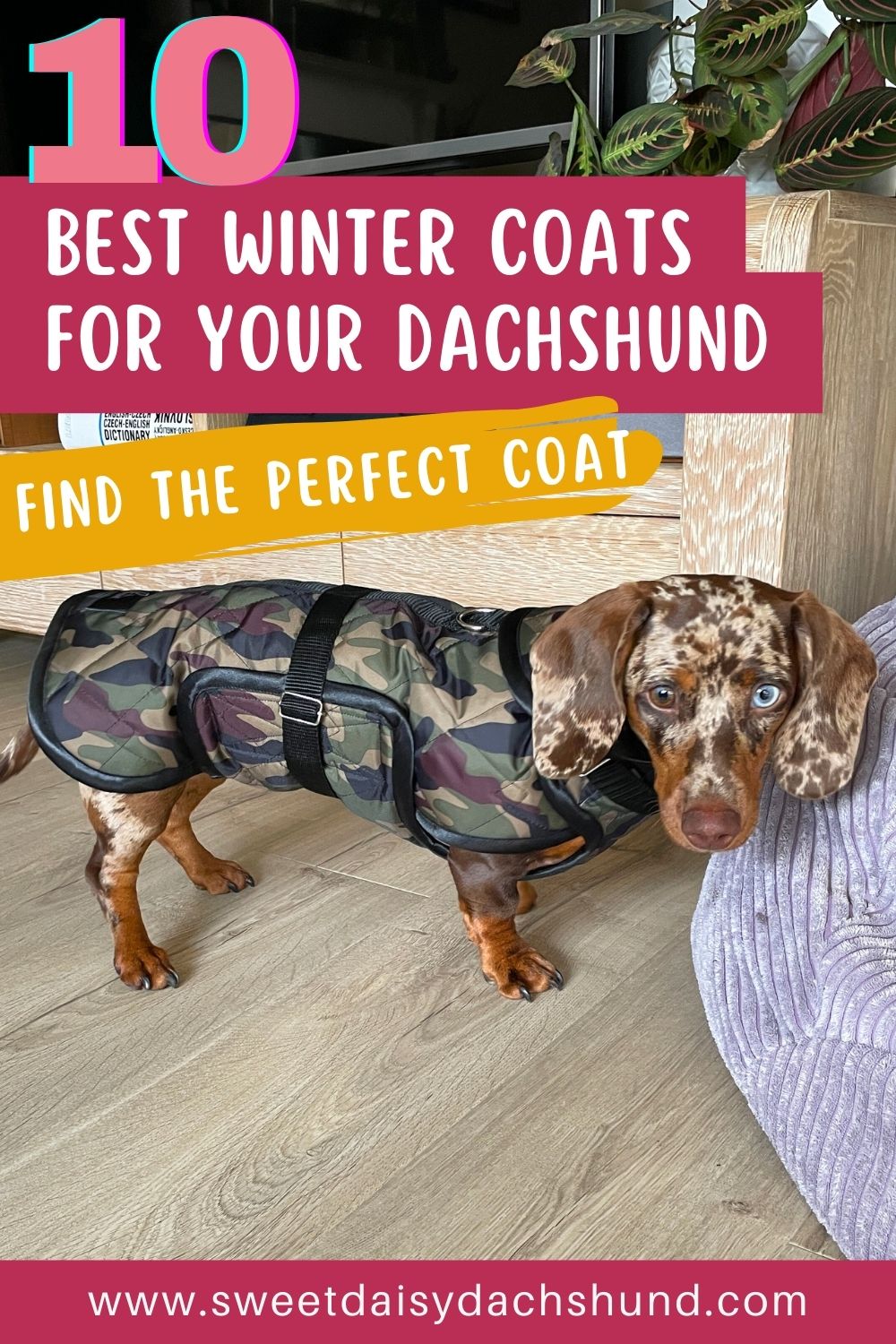 10 Best dachshund winter coats, Perfect winter coat for your doxie (2)